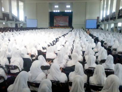 342_opak-2014.jpg