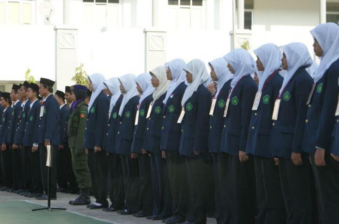 1537_pbak.jpg