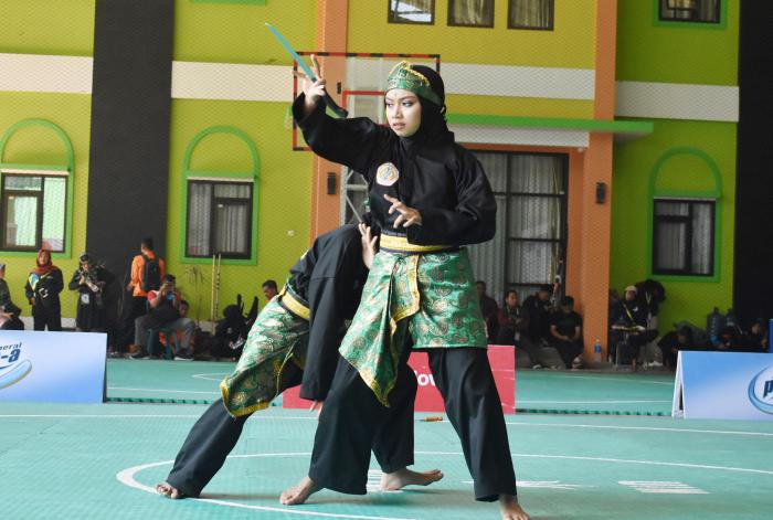 2226_silat1.jpg