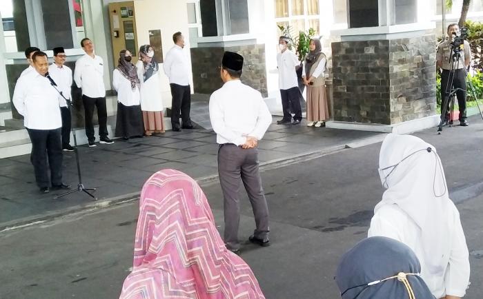 4625_apel.jpg
