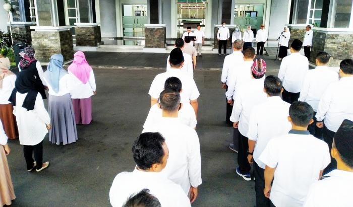 5270_pagi.jpg