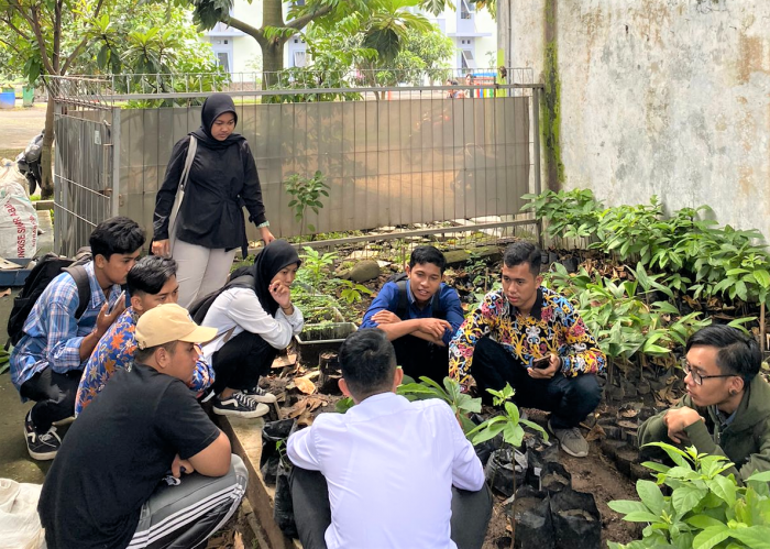 5330_sambung-pucuk.png