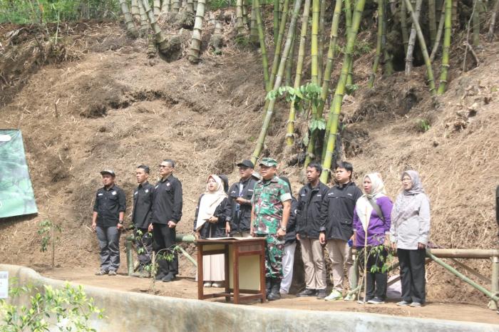 6322_hutan.jpg